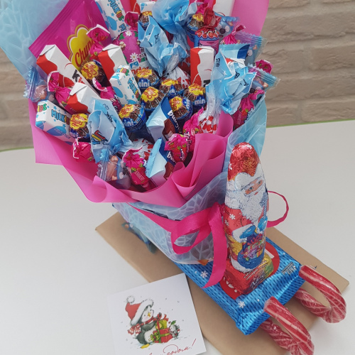 Детские сани